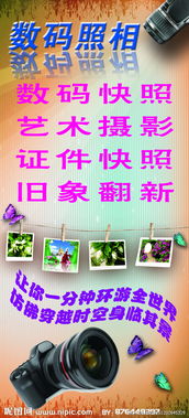 數(shù)碼攝影與數(shù)字廣告設(shè)計 打造吸睛視覺盛宴