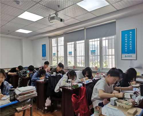 合肥藝術(shù)生文化培訓(xùn)機(jī)構(gòu) 價格合理的文化藝術(shù)理想之選